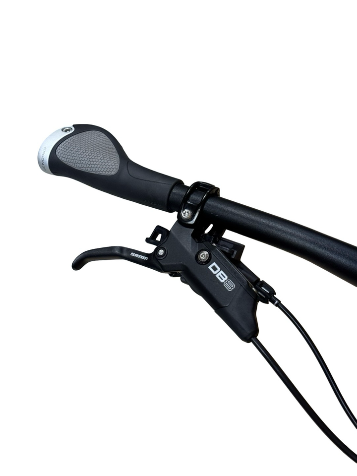Focus Thron² 6.8 29 polegadas Bicicletas de montanha elétricas