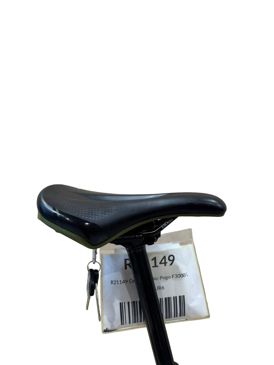 Centurion NO POGO F3000i29 polegadas Bicicletas de montanha elétricas
