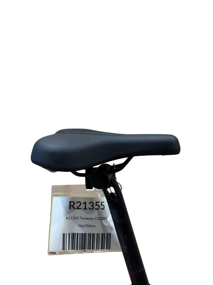 Tenways CGO009 Bici elettriche