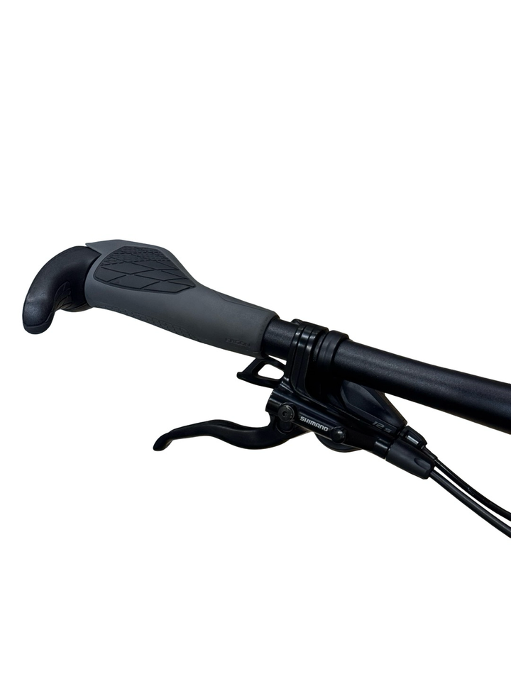 Cube Reaction Hybrid Race 750 Allroad 29 polegadas Bicicletas de montanha elétricas