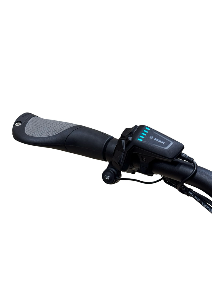 Riese & Müller Delite4 GT rohloff Elektrokola