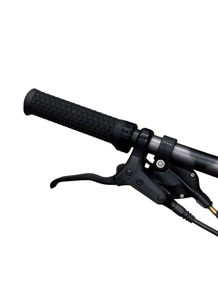 Conway Cairon C 3.0 E-Bike