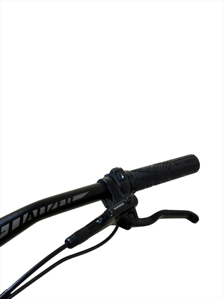 <tc>Specialized</tc> Turbo Levo HT 29 Zoll E-Mountainbike