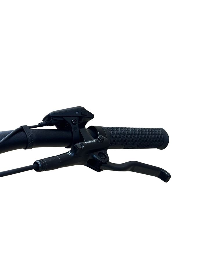 Cube Reaction Hybrid Pro 750 Allroad 29 pouces VTT électrique