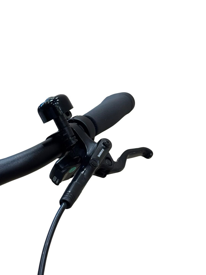 Giant DailyTour E+ 1 GTS E-Bike