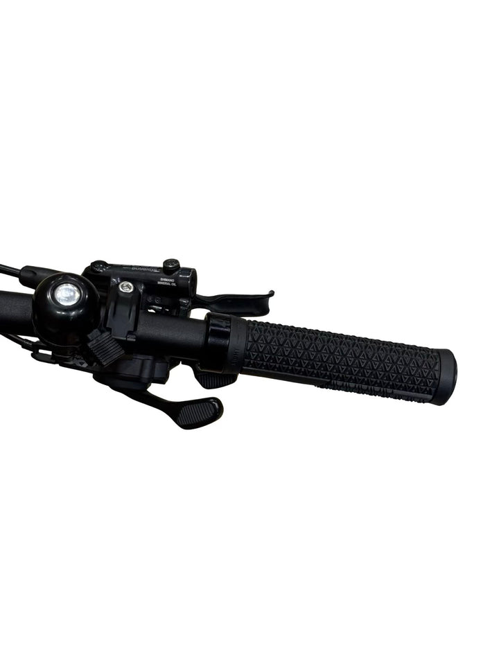 Centurion Riik R3000i LX E-jalgrattad