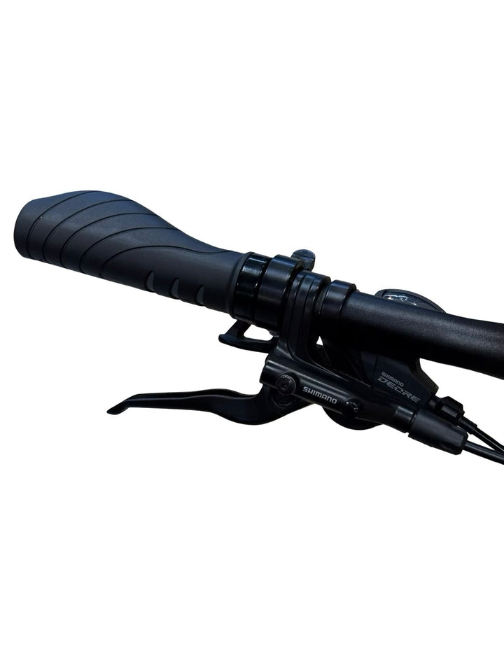 Winora Sinus IX10 Bici elettriche
