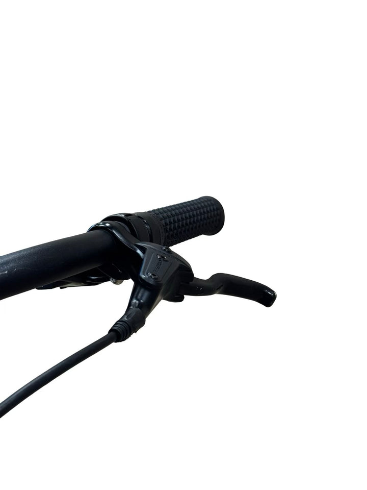 Giant Dailytour E+ 2 D LDS E-Bike