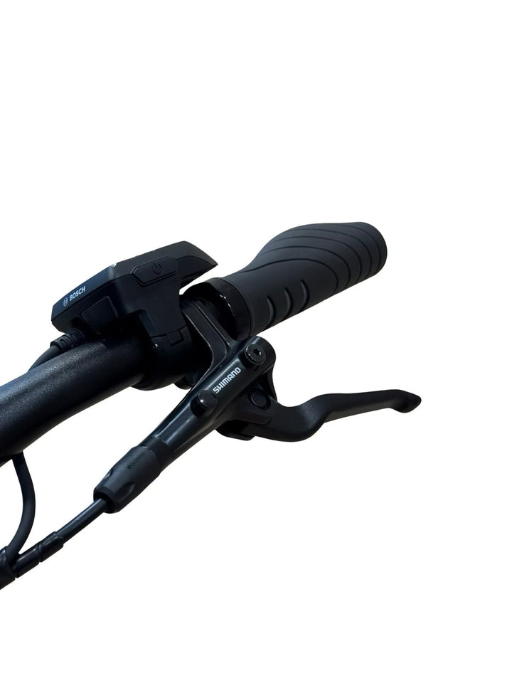 Winora Sinus IX10 Bici elettriche