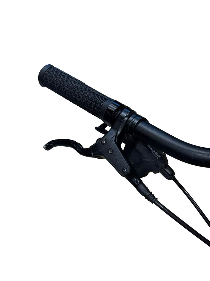 Giant Dailytour E+ 2 D LDS E-Bike