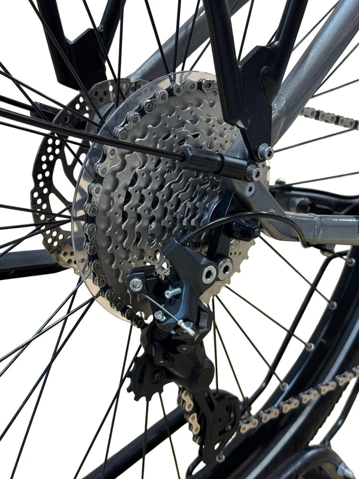 Winora Sinus IX10 Bici elettriche