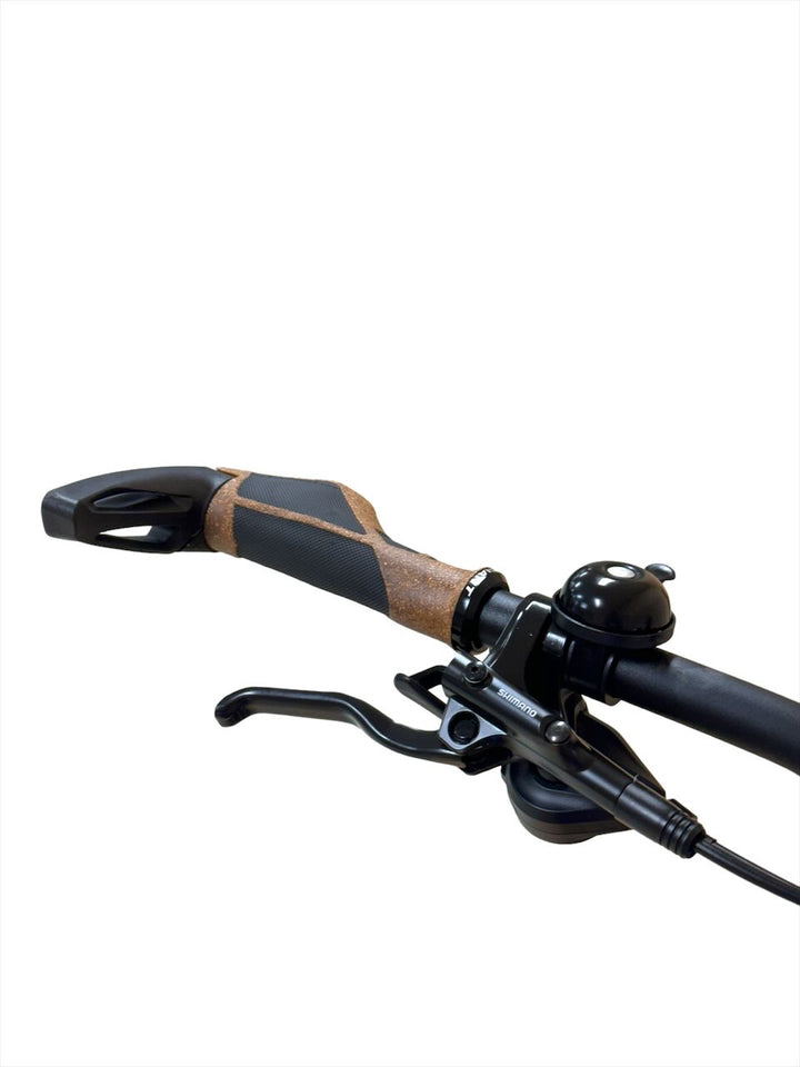 <tc>Giant Fathom E+ EX Sport 29 palcové E-Mountain kolo</tc>