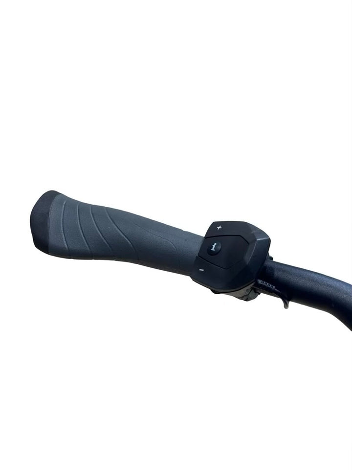 Riese & Müller Charger3 Mixte GT Vario E-jalgrattad