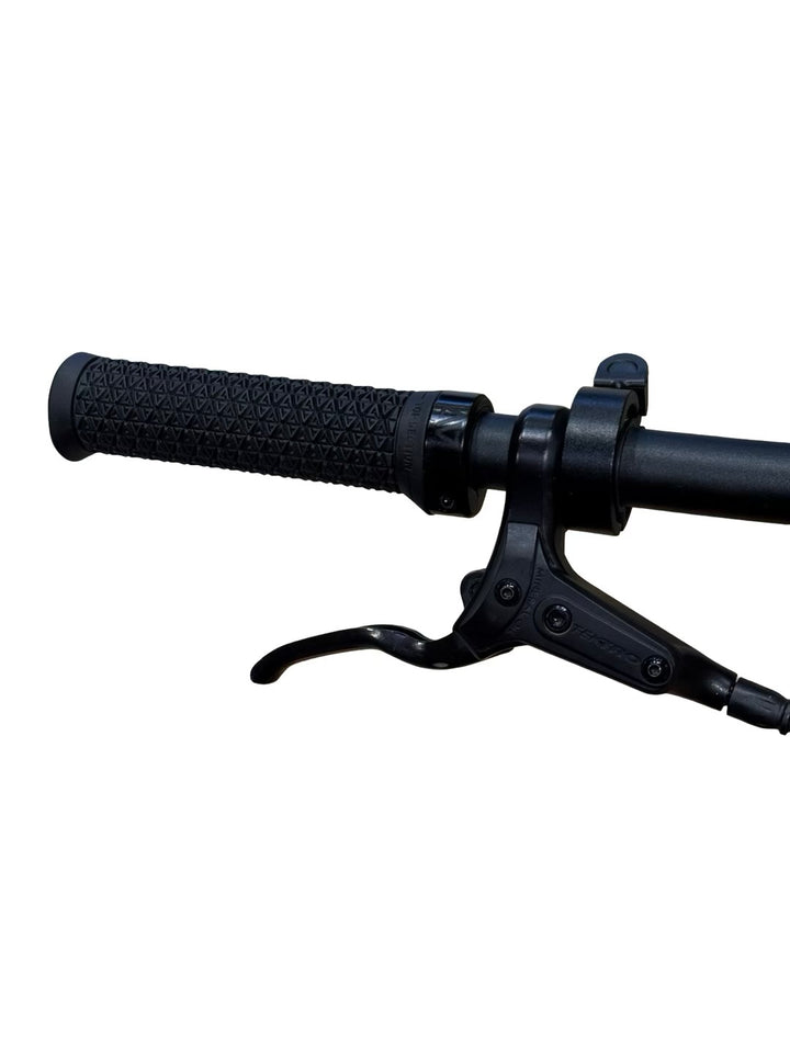 Tenways CGO600 PRO Vélo électrique