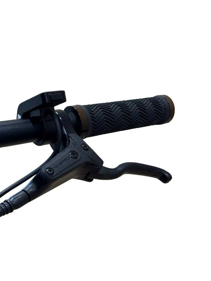 Tenways CGO600 el-sykkel