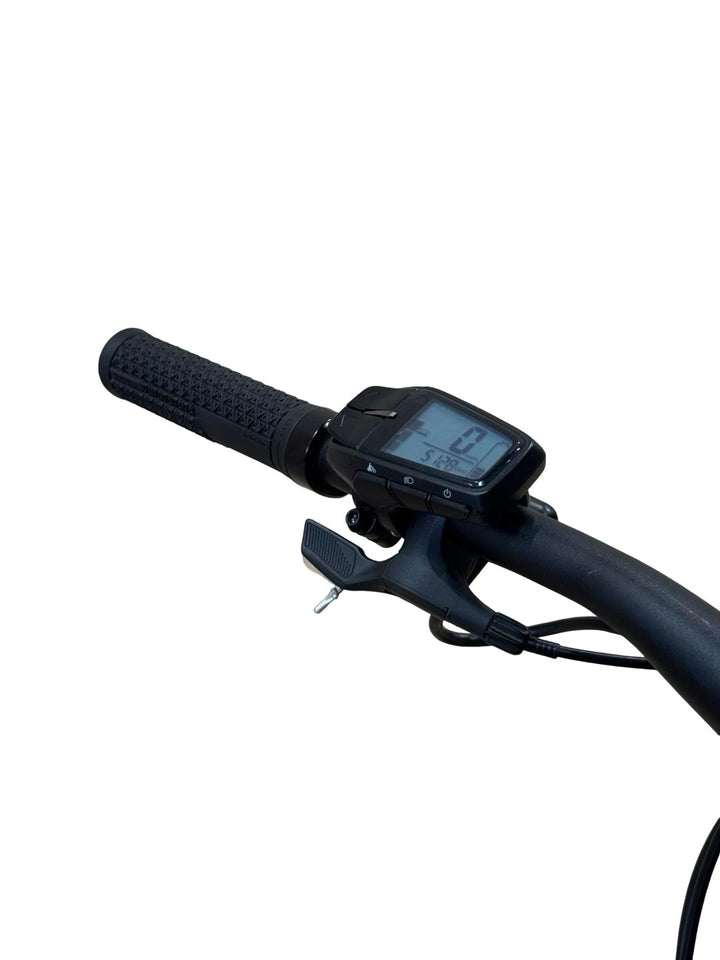 Raymon TrailRay 160E 8.0 bicicletă de munte electrică