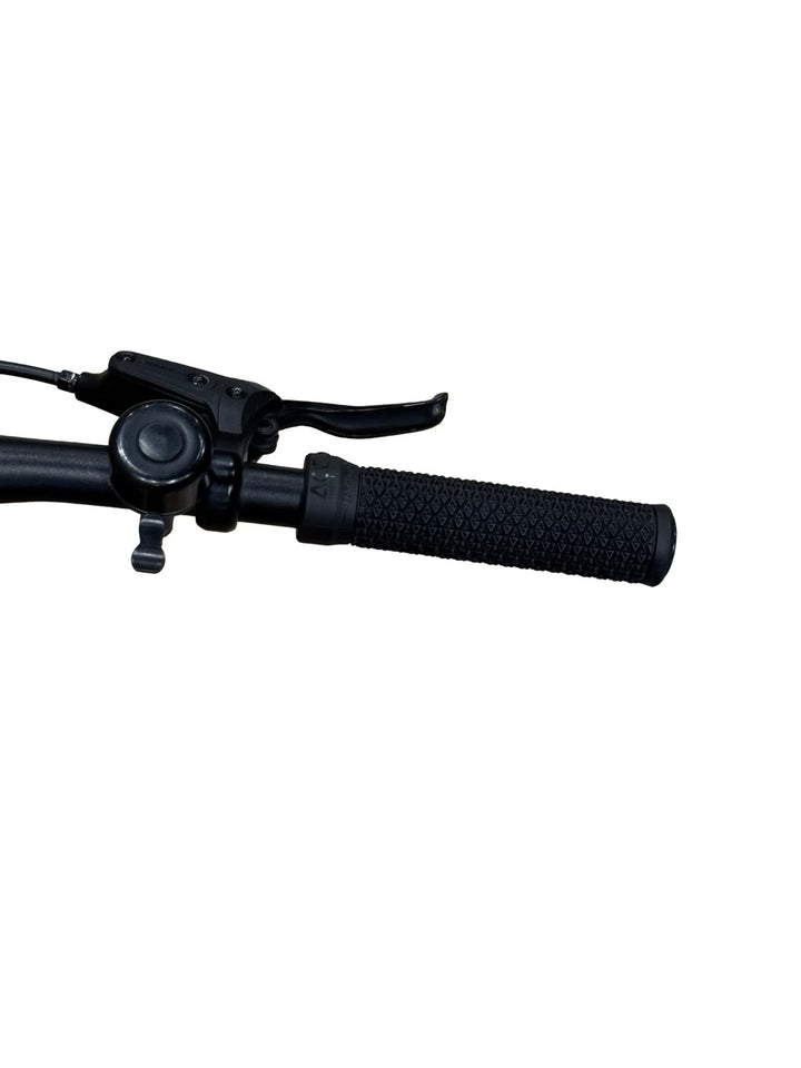 Tenways CGO600 elektrický bicykel