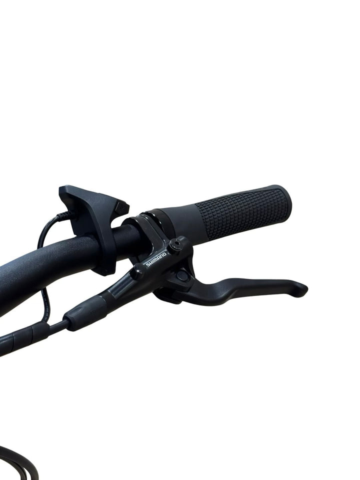 Carver Route E.540 E-Bike