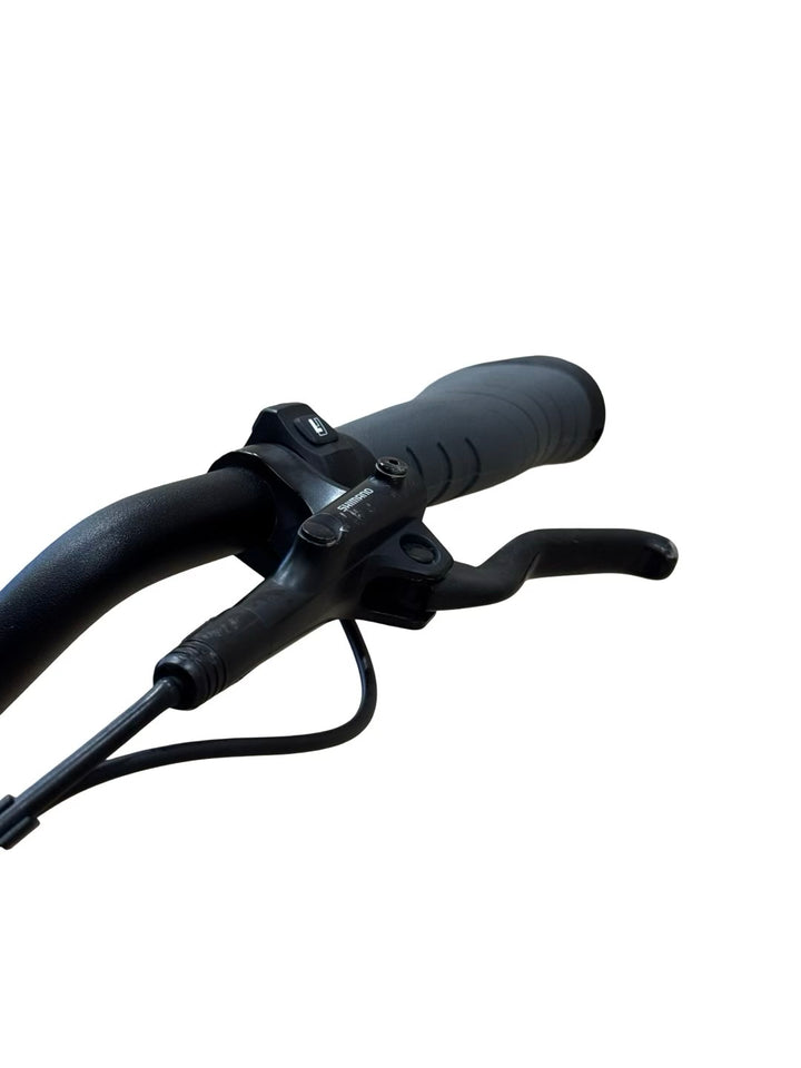 Specialized Turbo Como 3.0 IGH E-Bike