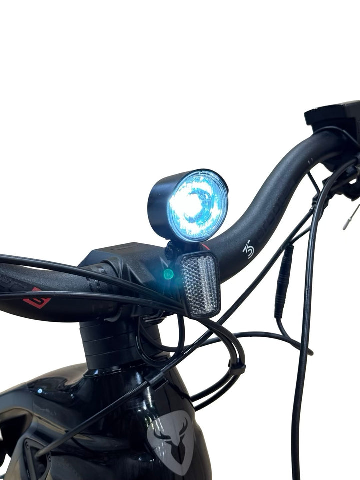 Rotwild R.T750 Tour 29 tommer E-mountainbike