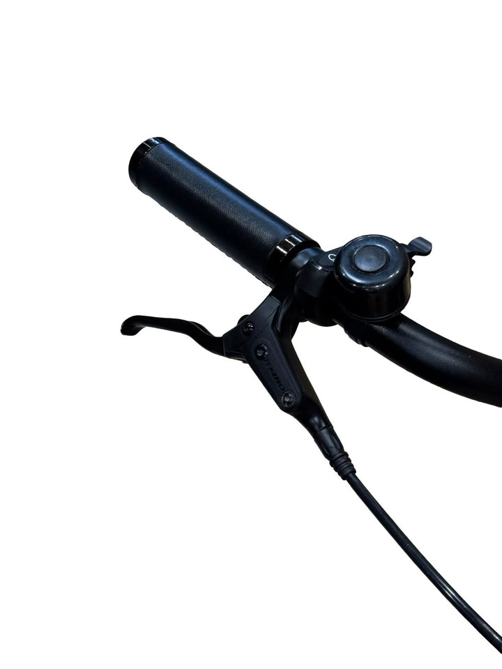 Tenways CGO800S E-Bike