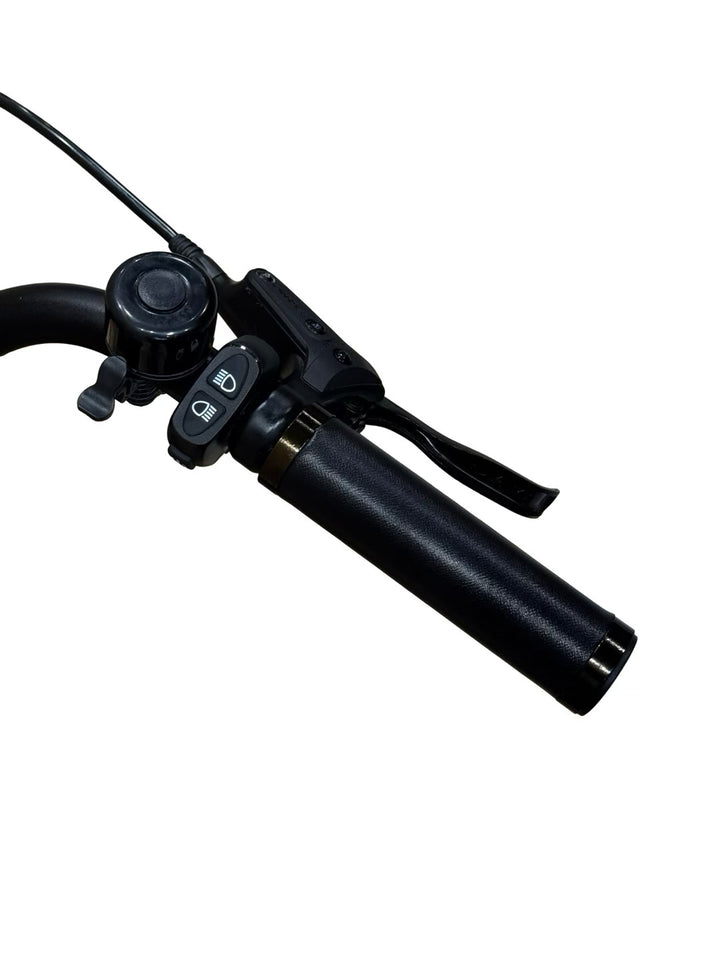 Tenways CGO800S E-Bike
