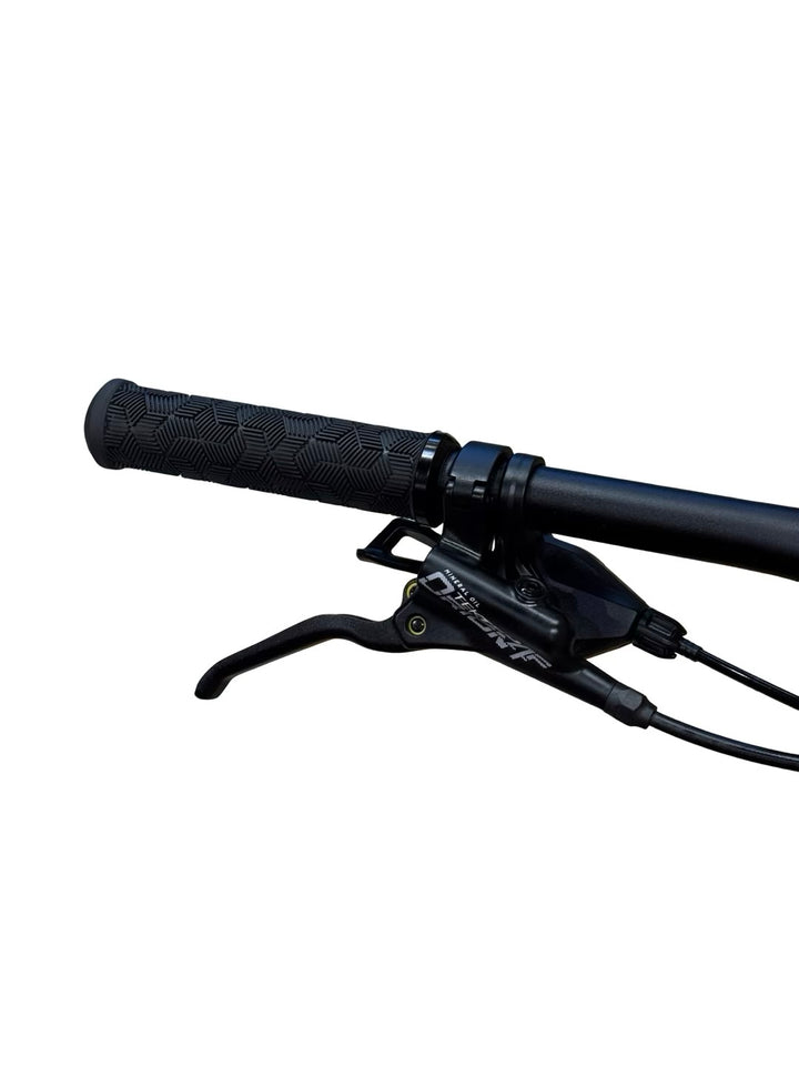 Giant Trance 2 29 tommer terrengsykkel
