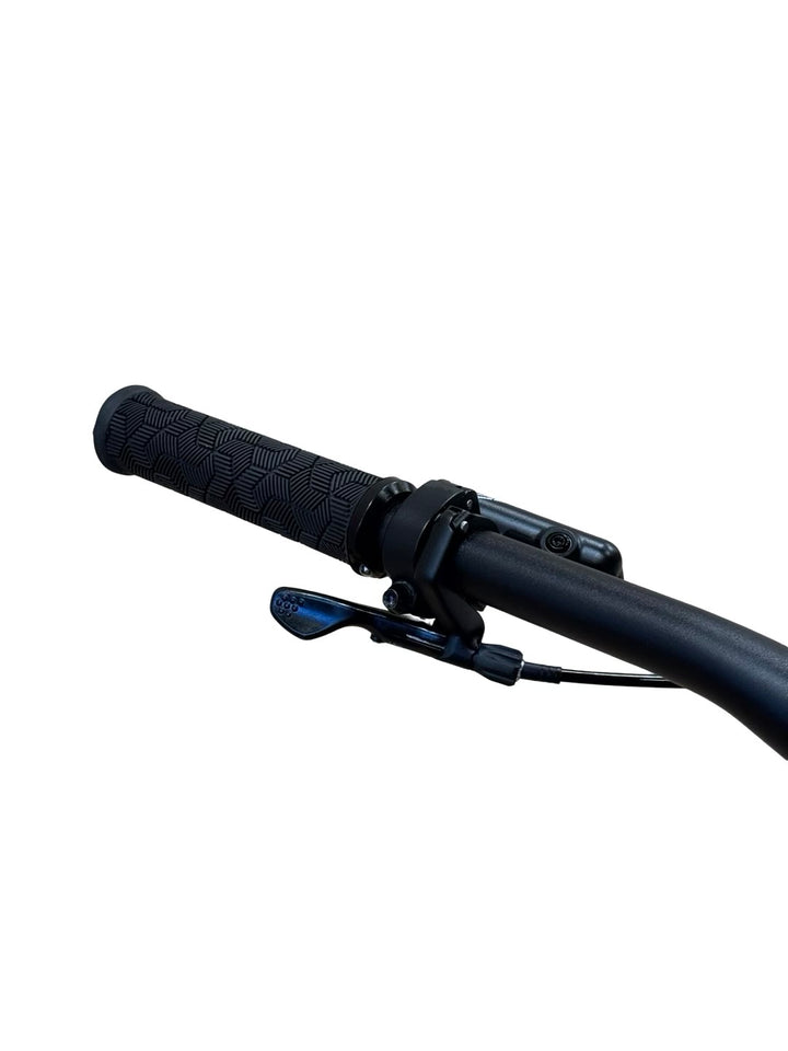 Giant Trance 2 29 tommer terrengsykkel