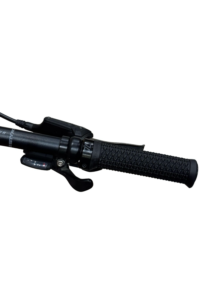 Bulls Cross Braidera EVO 1 625 E-Bike