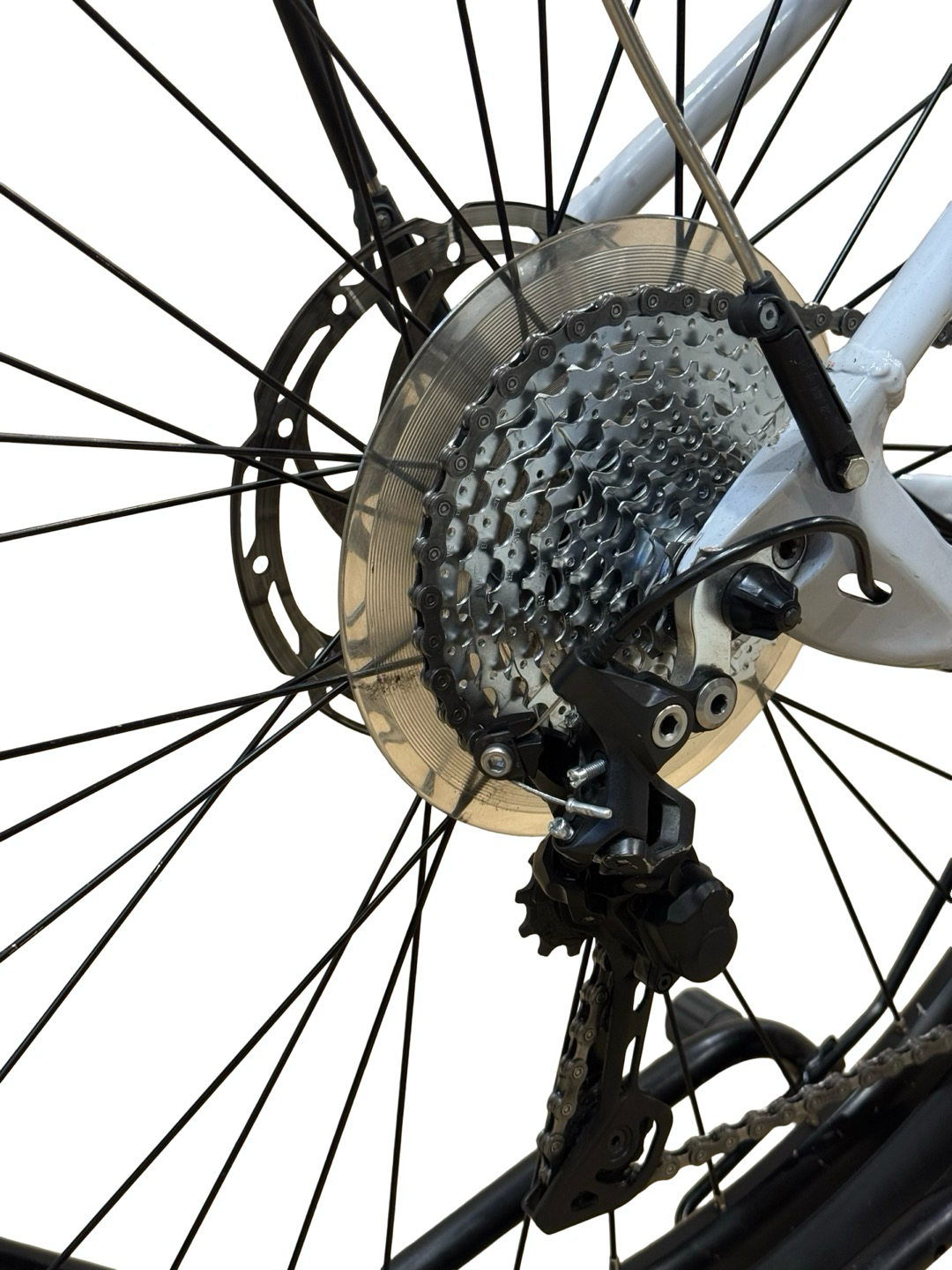 Bulls Cross Braidera EVO 1 625 E-Bike