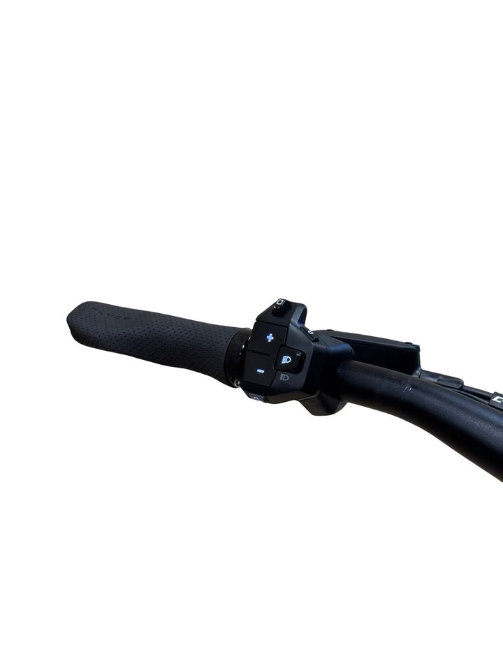 Flyer Goroc X 2.10 29 inch E-Mountainbike