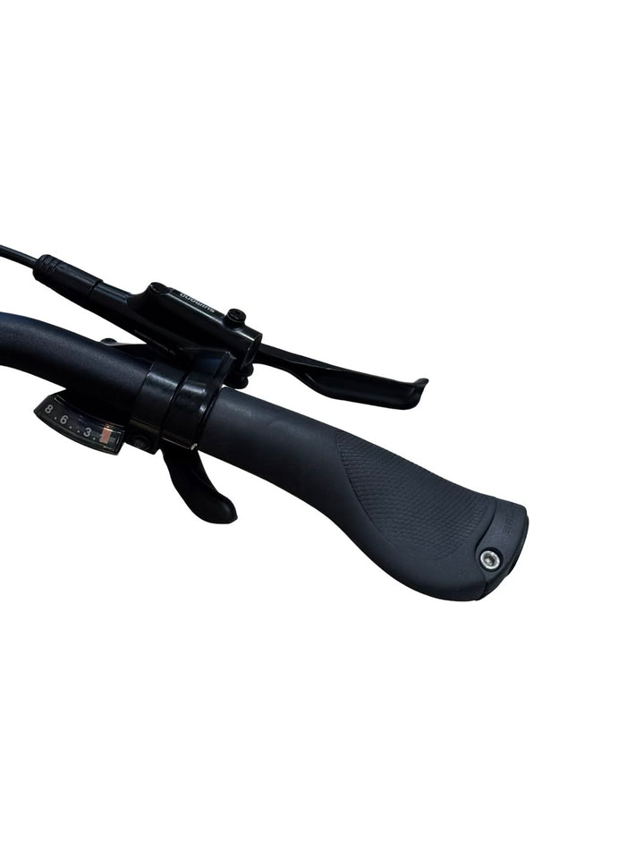 Kalkhoff Endeavour 1.B Move 545 E-Bike
