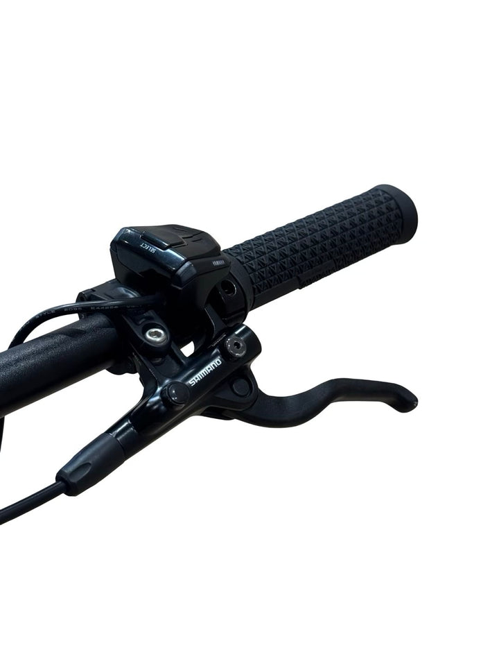Ghost E Square Trekking Advanced E-cykel