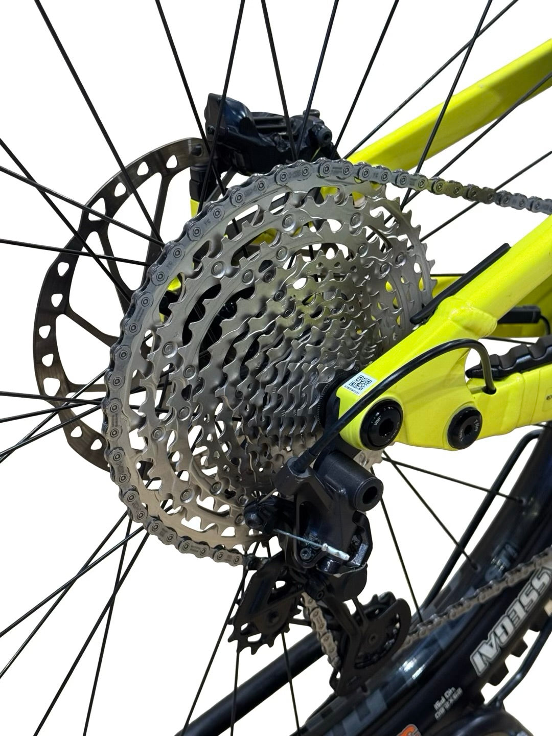 Cannondale Moterra NEO Carbon 2 29 inch E-Mountainbike