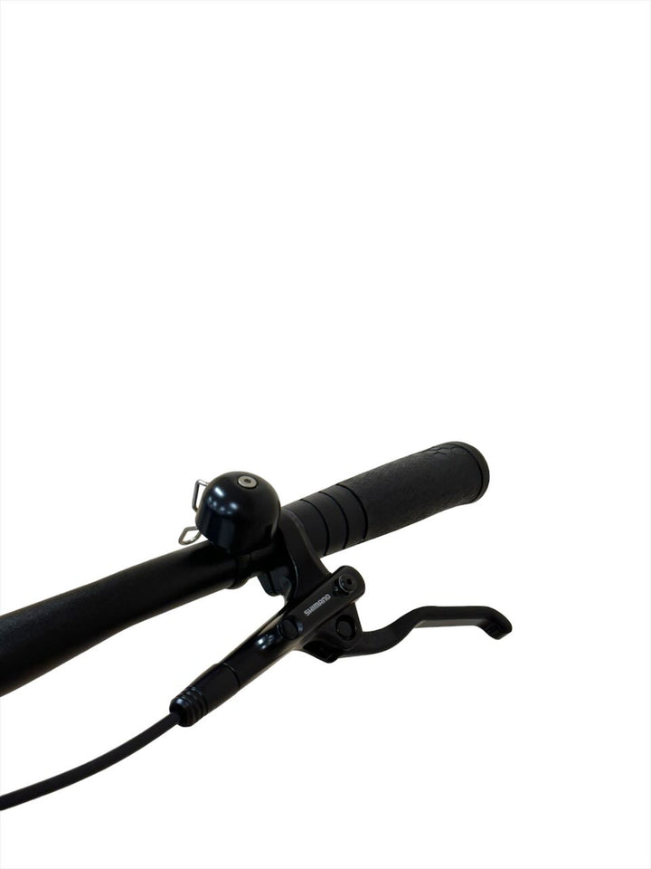 <tc>Kalkhoff Endeavour 8 Belt 28 cal rower trekkingowy</tc>