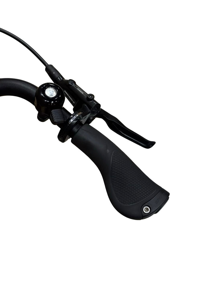 Riese & Müller Nevo3 GT Automatic E-Bike