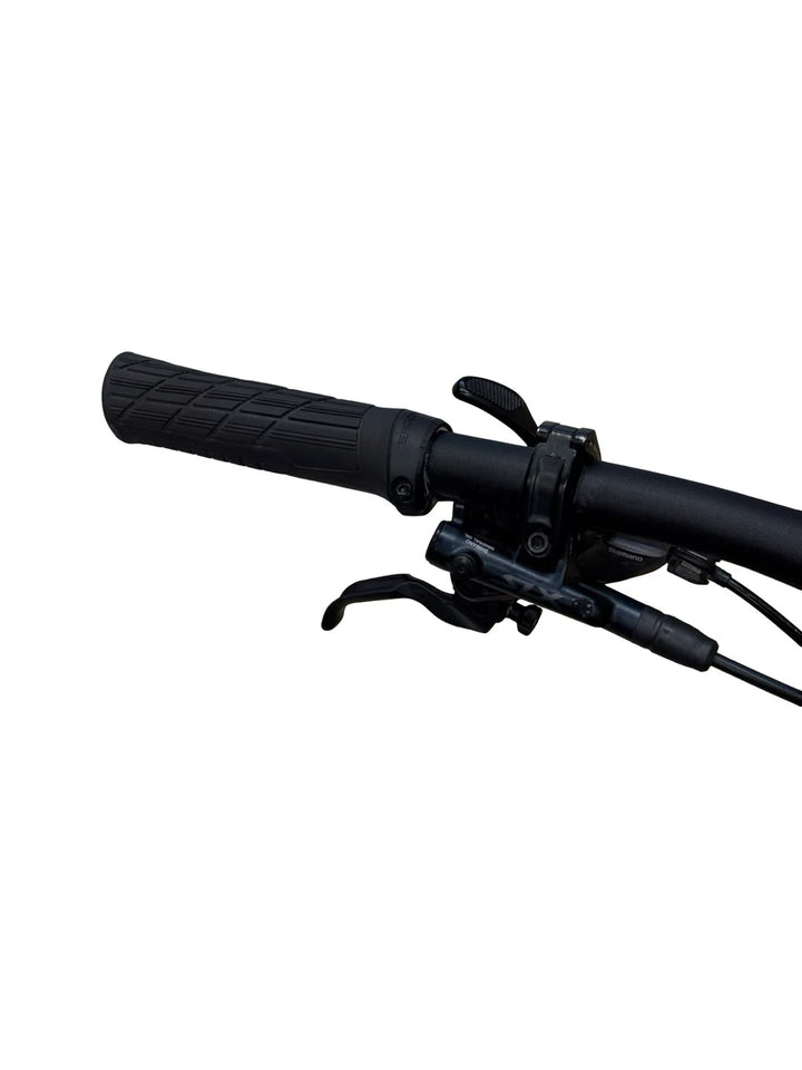 Rose Bonero Plus 2 29 Zoll E-Mountainbike