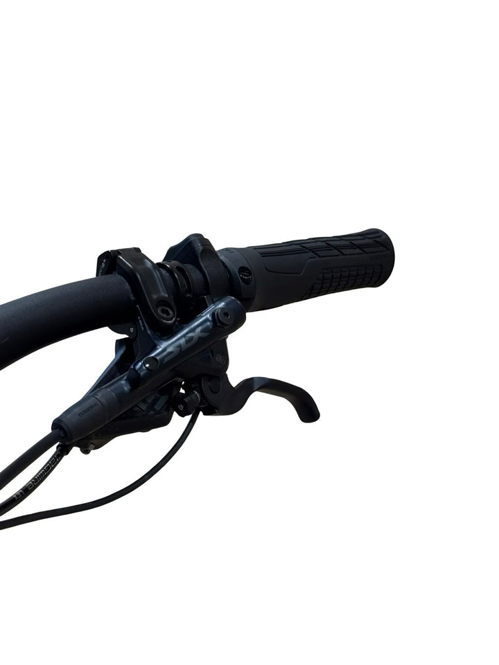 Rose Bonero Plus 2 29 Zoll E-Mountainbike