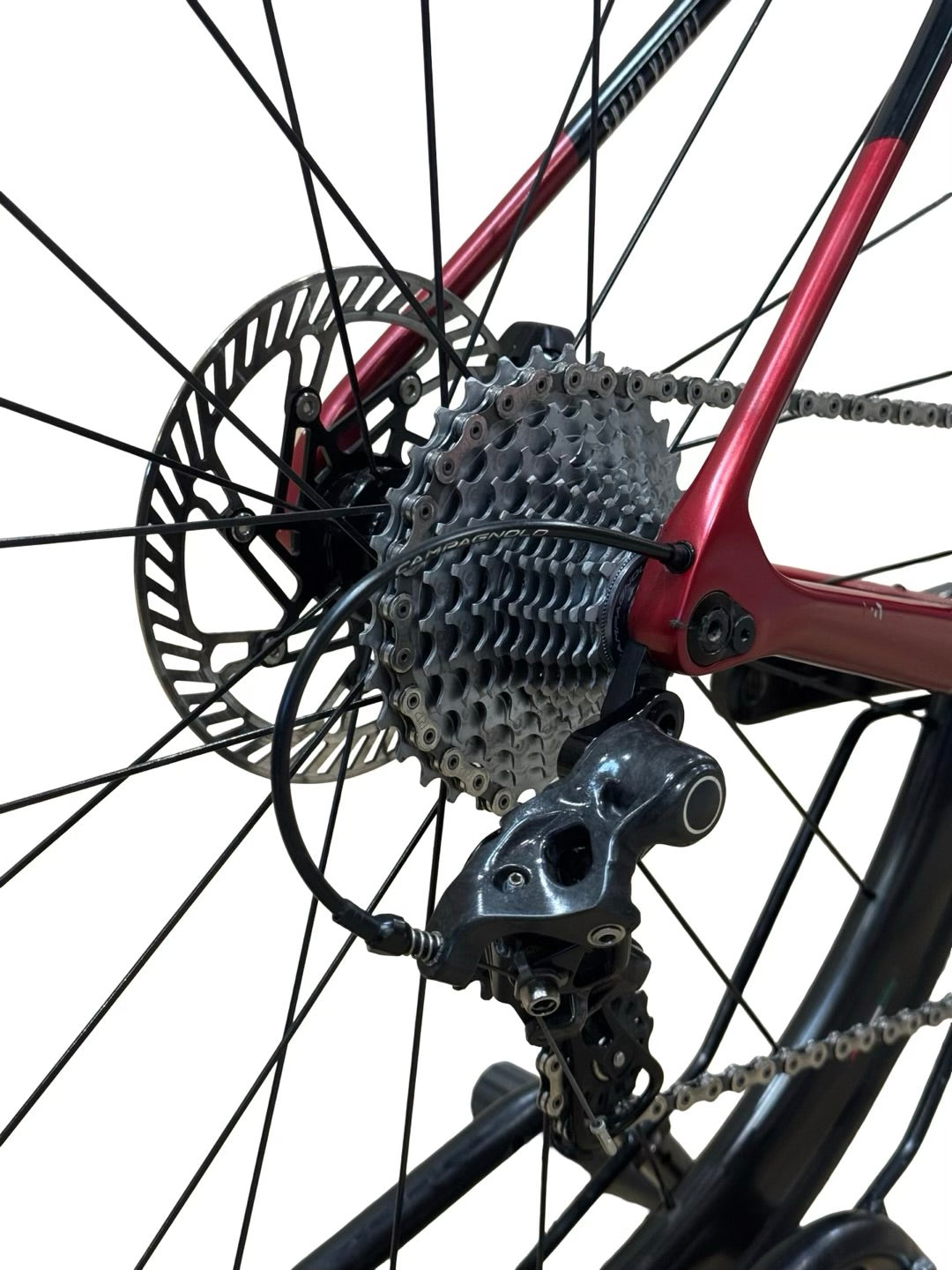 Basso Diamante SV Campagnolo Chorus 12S Disc bicicletta da corsa