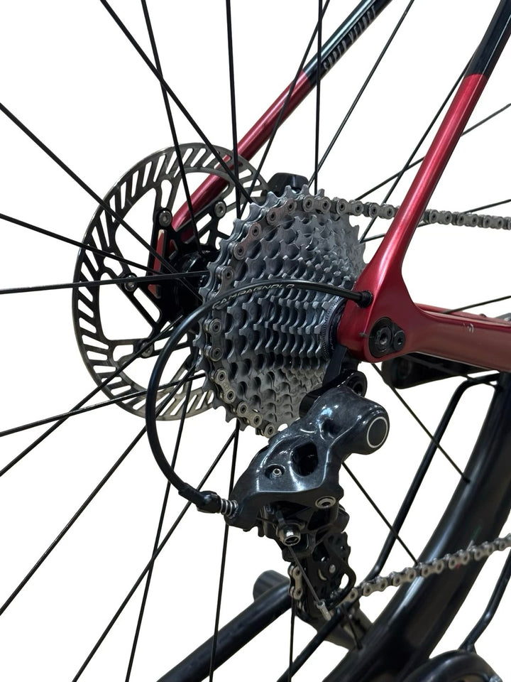 Basso Diamante SV Campagnolo Chorus 12S Disc bicicletta da corsa