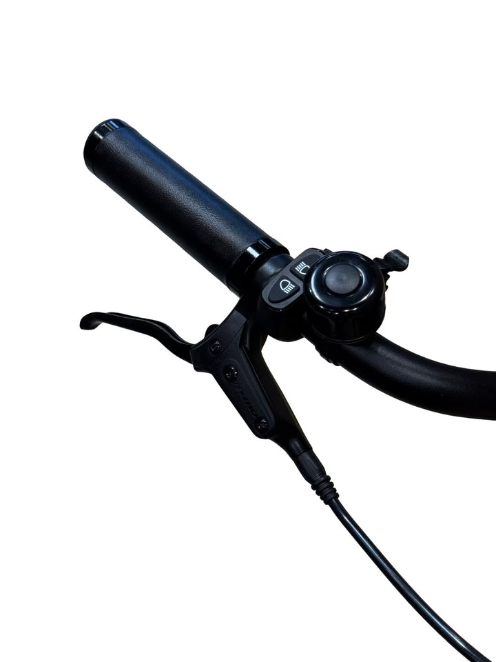 Tenways CGO800s E-Bike