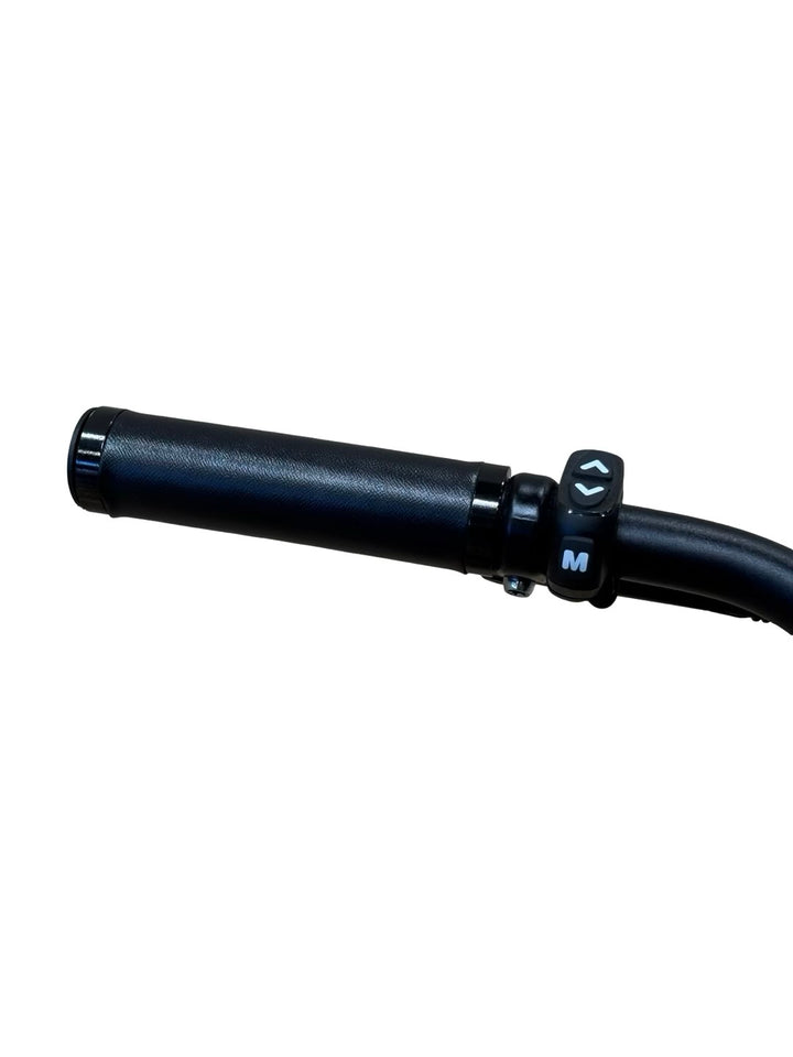 Tenways CGO800s E-Bike