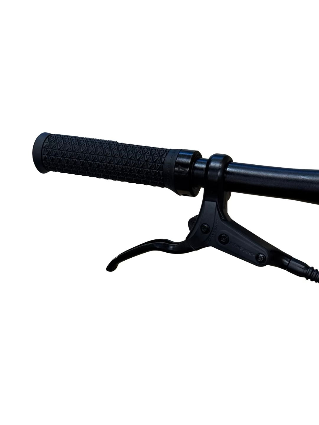 Tenways CGO600 E-Bike
