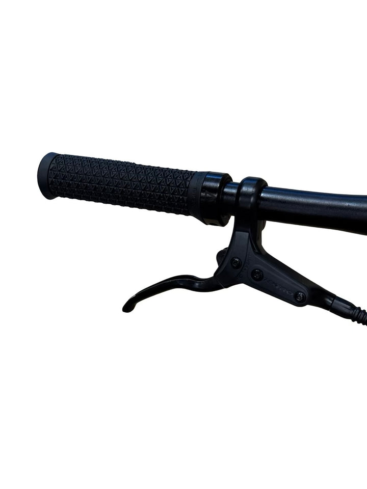 Tenways CGO600 E-Bike