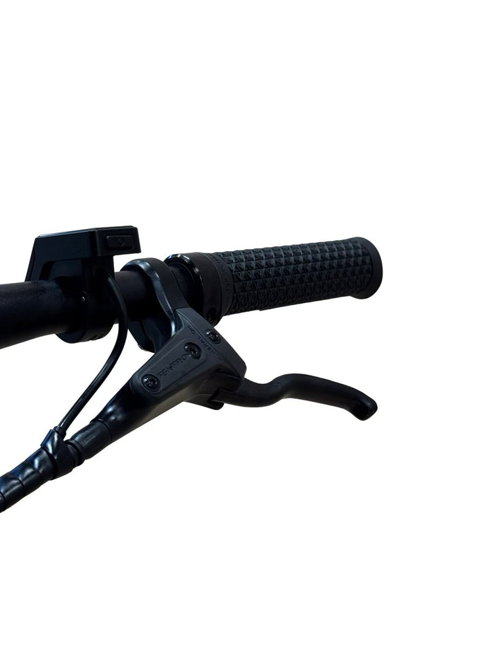 Tenways CGO600 E-Bike