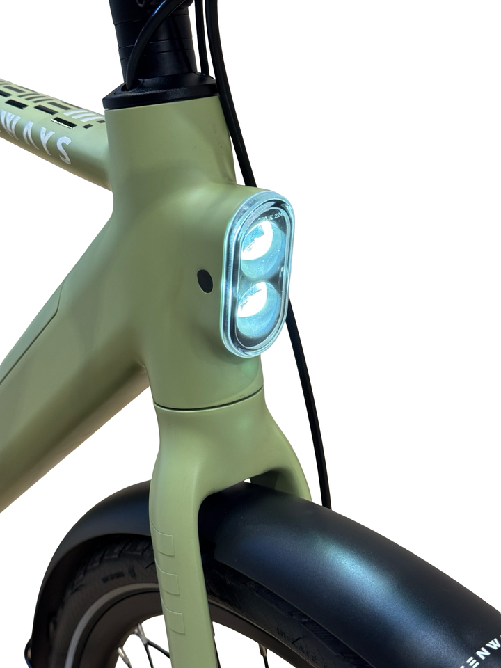Tenways CGO600 Pro Bici elettriche