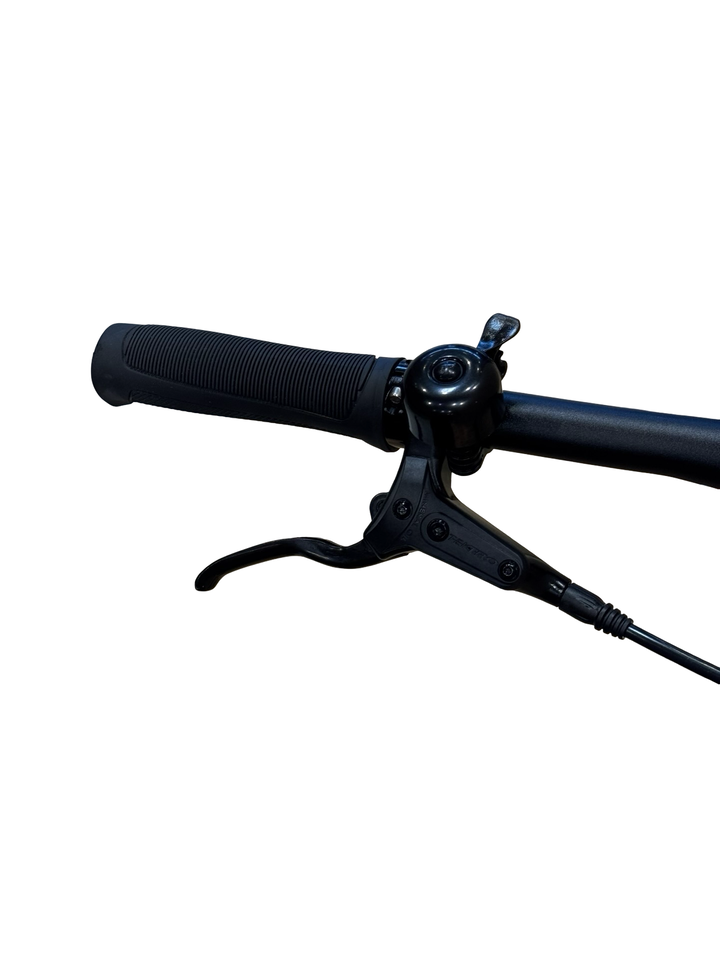 Tenways CGO600 Pro Bici elettriche