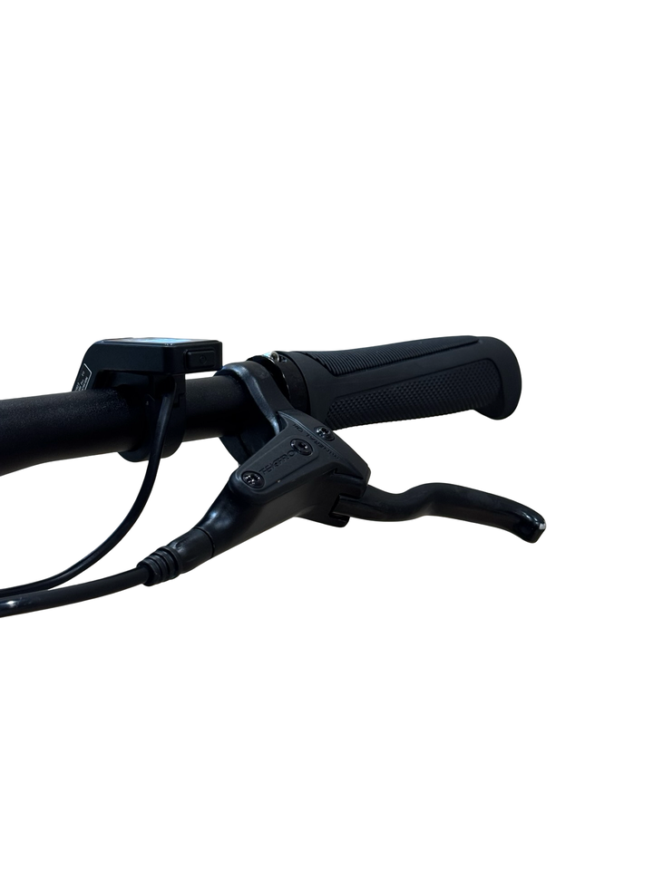 Tenways CGO600 Pro Bici elettriche