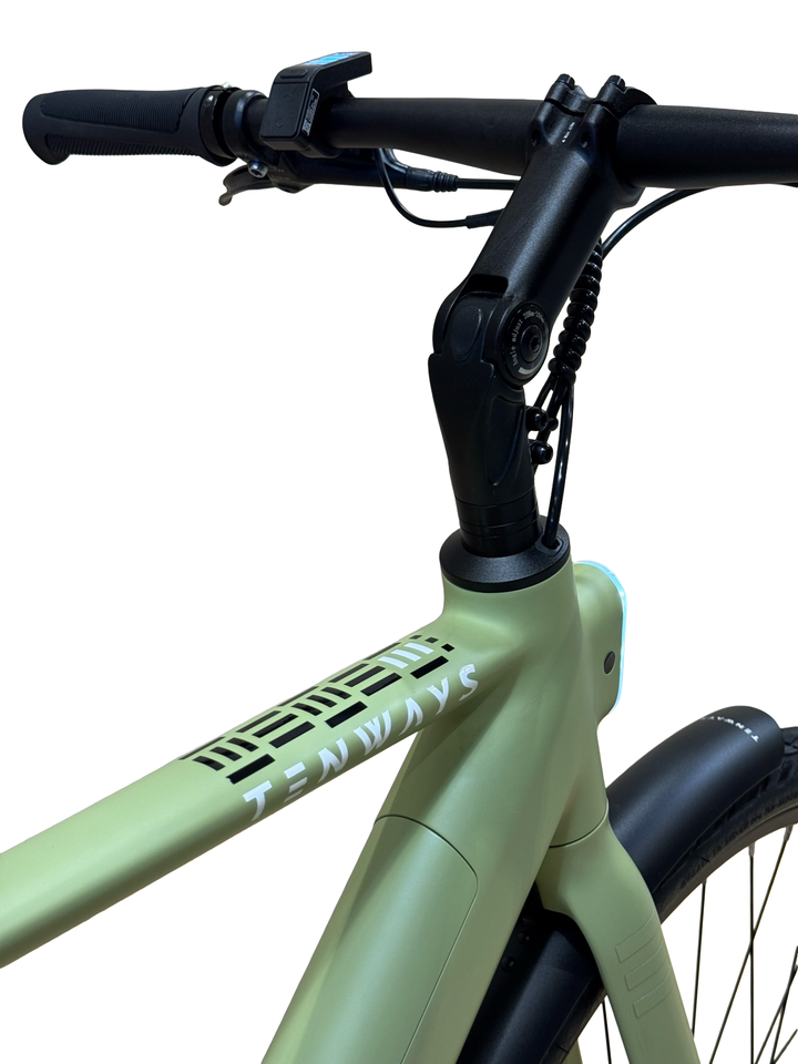 Tenways CGO600 Pro Bici elettriche