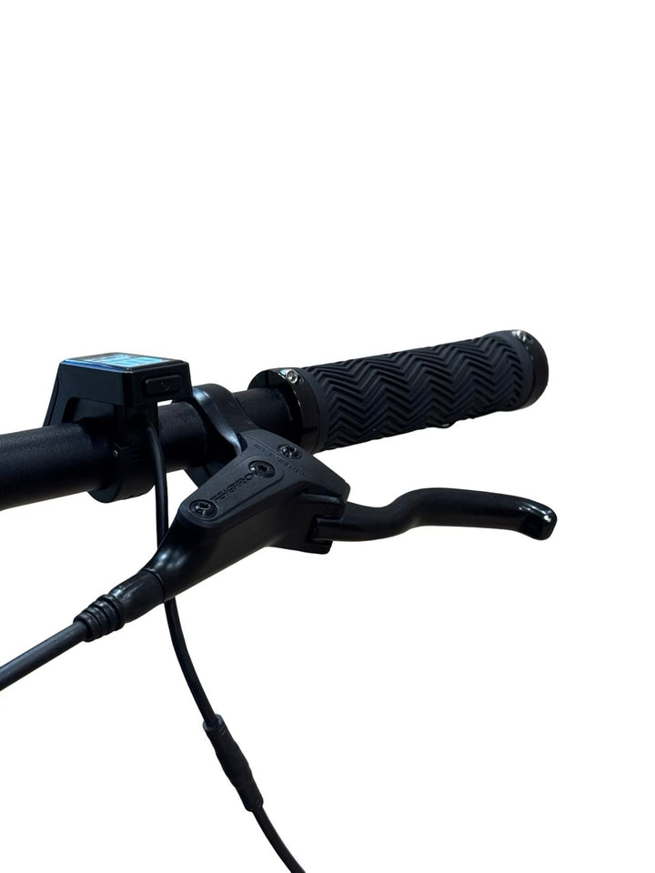 Tenways CGO600 E-Bike